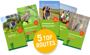 5 top routes